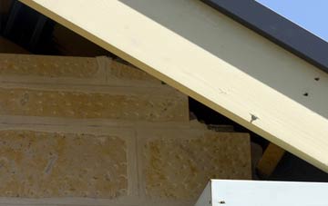 soffit repair Bredfield